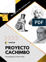 Preguntas Proyecto Cachimbo 2