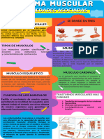 Infografia Aparato Locomotor - Sistema Mucular