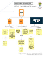 Mapa Conceptual Amazon