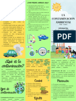 La Contaminación Ambiental