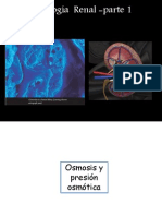 Clase 17 Fisiologa Renal Parte 1