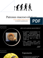 Patrones Macroevolutivos