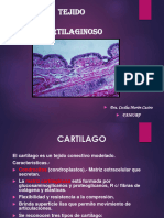 Tejido Oseo-Cartilaginoso - CMC