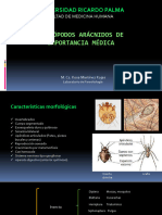 CLASE 5. ARTRÓPODOS I.  ARÁCNIDOS