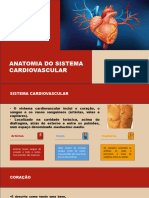 Anatomia Do Sistema Cardiovascular
