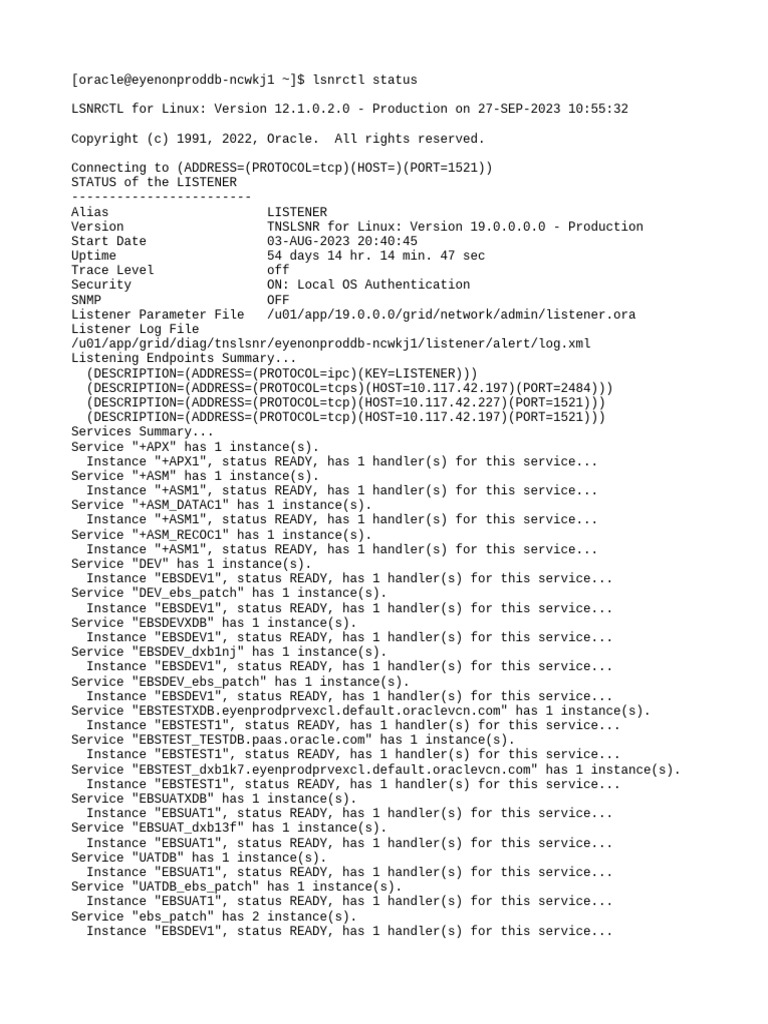 LISTENER Status Services PDF