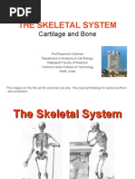 Download Bone by api-3740505 SN6752389 doc pdf