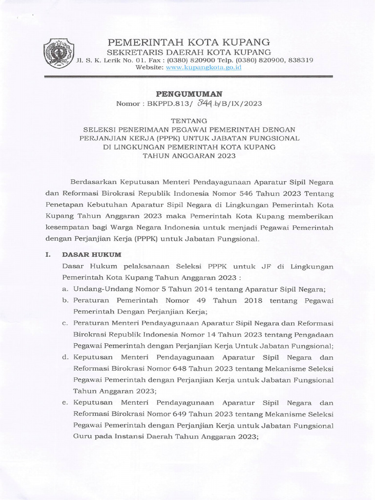 PPPK Jabatan Fungsional 2023 | PDF