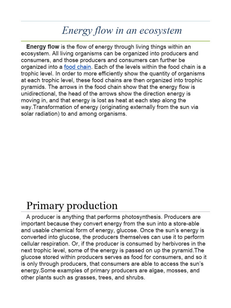 Energy Flow in An Ecosystem | PDF