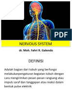 Anatomy SSP