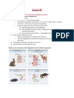 Veterinary Physiology - Stomach 