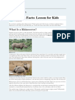 (PROJECT) RHINO - Rhinoceros Facts For Kids - Study