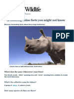 (PROJECT) RHINO - 12 Interesting Facts - Discover Wildlife