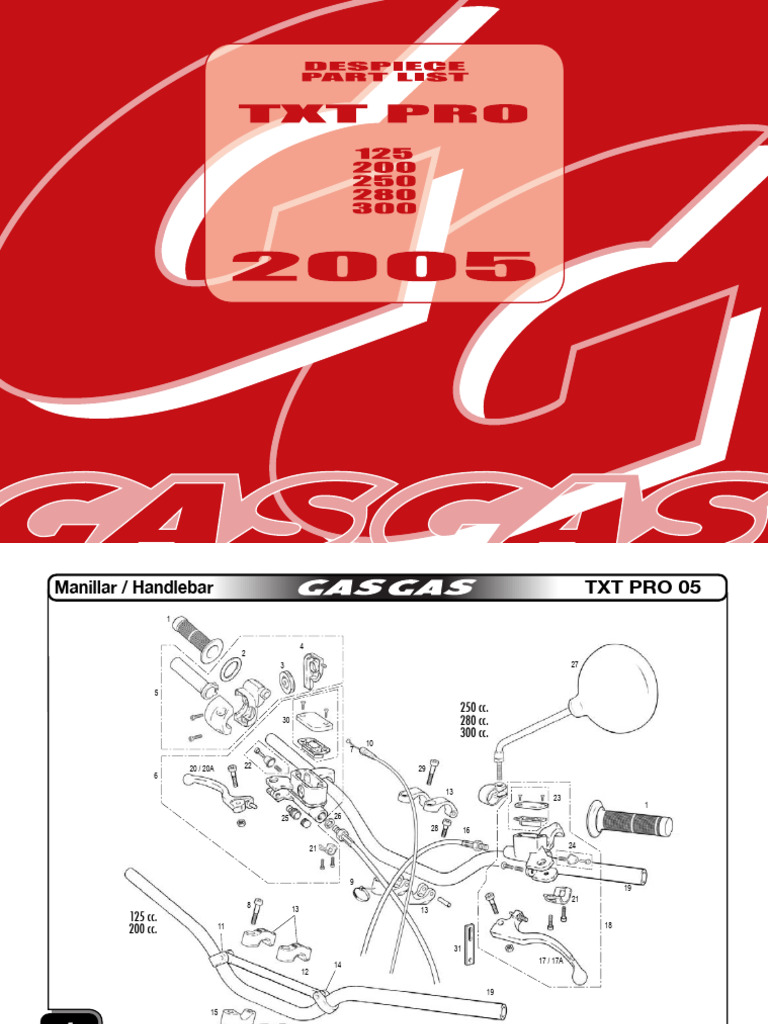 36664 - DISQUE DE FREIN Compatible Avec GAS GAS TXT PRO 250 REPLICA