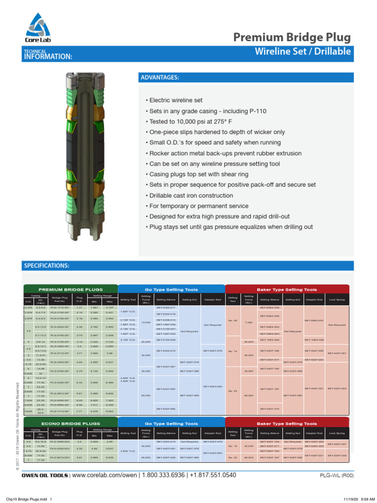 PLG Chart-Premiumbridgeplug | PDF