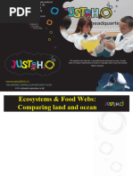 Food Webs Comparing Land and Ocean