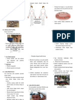 Leaflet Scabies