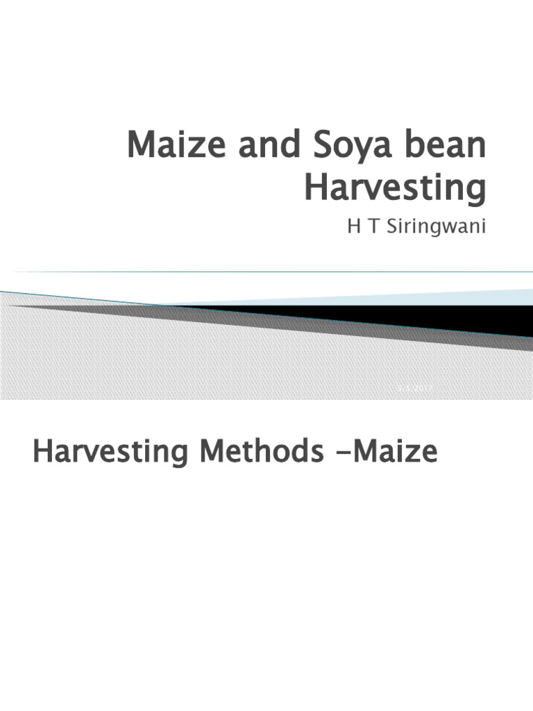 Maize and Soya Bean Harvesting PDF