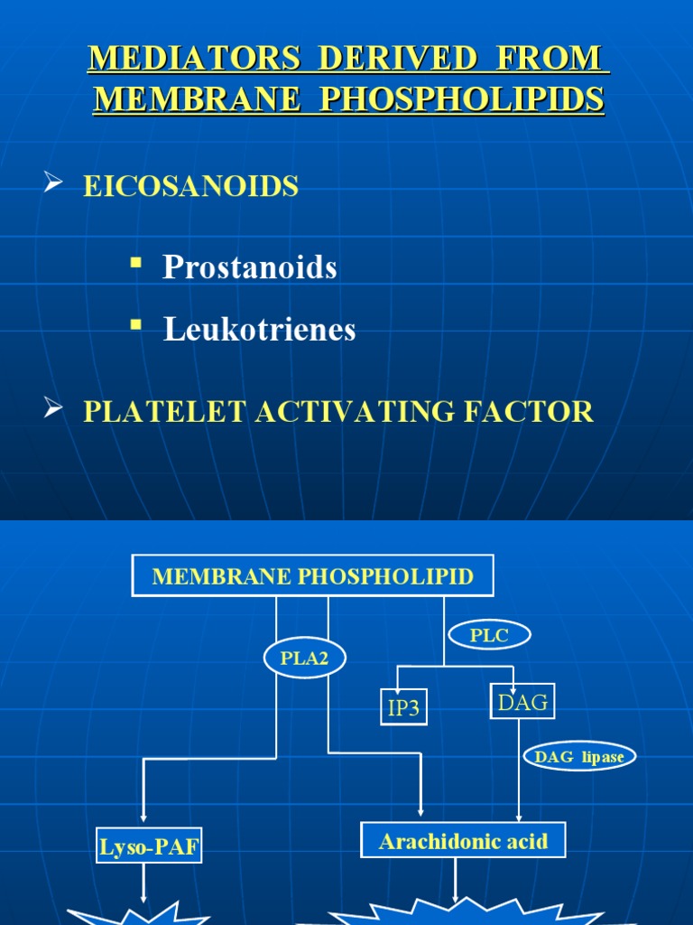 Lecture 23 Eicosanoids PDF Organic Compounds Biomolecules