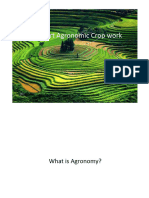 3 - Agronomy