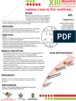 Aps Décimo Formato Póster