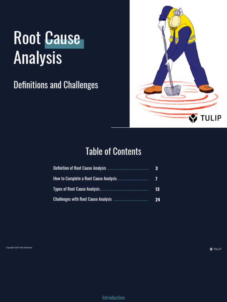 LM-0030 Root Cause Analysis Ebook | PDF