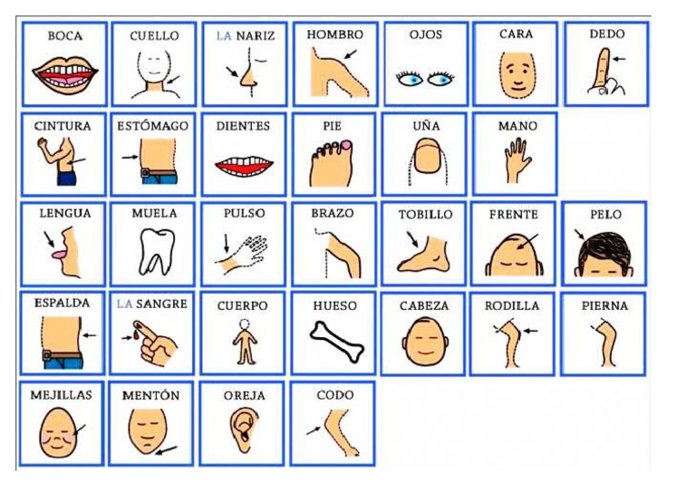 Cada Una de Las Partes Del Cuerpo Humano | PDF