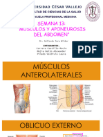 Semana 13 - Músculos y Aponeurosis Del Abdomen