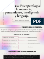 Psiquiatría - Psicopatología de La Memoria, Lenguaje, Pensamiento e Inteligencia.