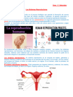 Tema 11 Sistemas Reproductores