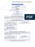 Esquematizacion Juicio de Accion Privada