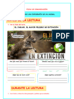 Ficha Comu Lun 2 Leemos Infografía de Un Animal