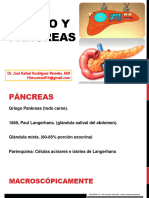 Hígado y Páncreas, Vesicula Biliar