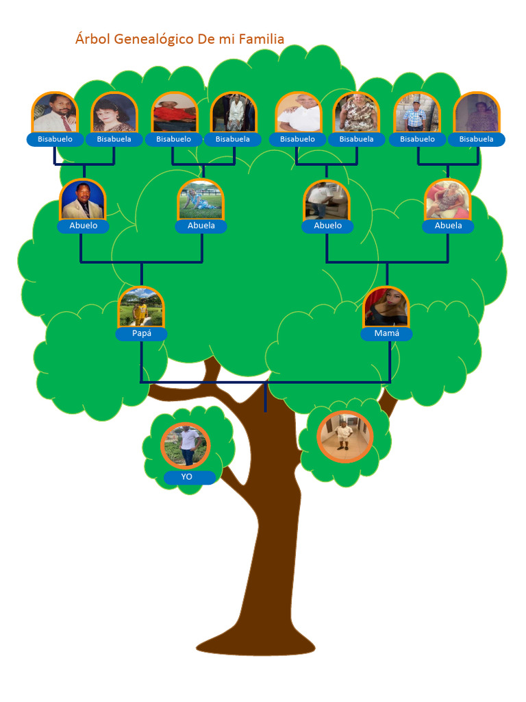 Arbol Genealogico 3 | PDF