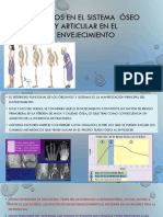 Cambios en El Sistema Óseo y Articular en