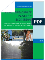 Caracterizacion ecologica humedales Río Paz final