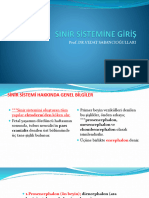 PDF 1 (20 Eylül) (Si̇ni̇r Si̇stemi̇ Ve Medulla Spi̇nali̇s)