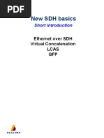 Ethernet Over Sonet VCAT LCAS GFP