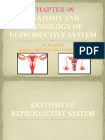 Anatomy and Physiology of Female Reproductive System
