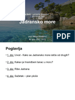 Jadransko More - Zara Bašić I Leonarda Glasnović 1.C - Biologija
