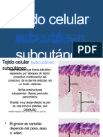 Tejido Celular Subcutáneo