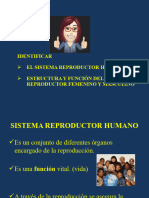 6°BásicoCs NaturalesPPT Reproducción Humana