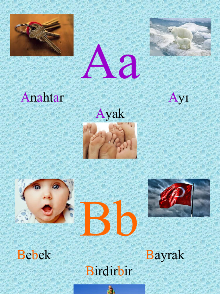 Türkçe Alfabe | PDF