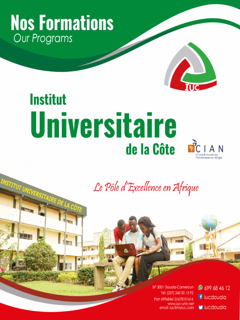 Schéma de Formation IUC Pour Webok | PDF