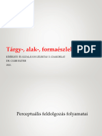 3.3.látás - Tárgy, Alak, Forma - Tárgylátás Modellek Nélkül