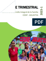 Informe Trimestral 2023 - 1