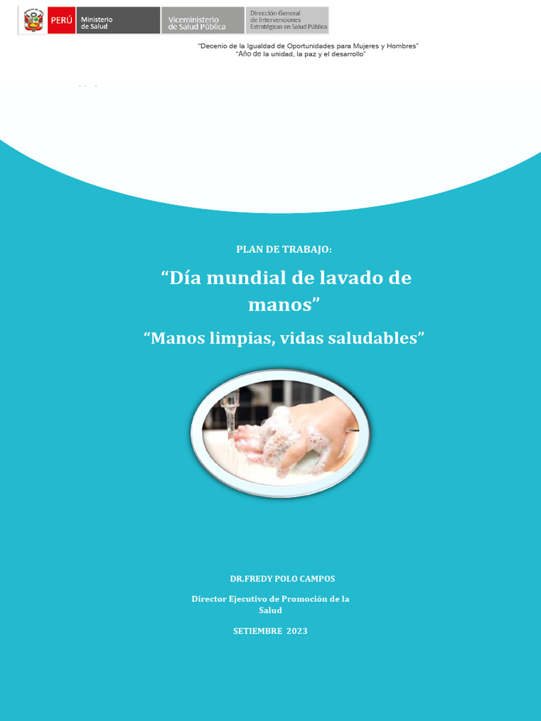 Plan de Lavado de Manos 2023 | PDF | Lavado de manos | Cuidado de la salud