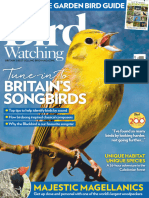 Bird Watching - April 2020 UK