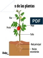 Qué Significan Frituras