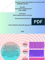 Diagrama de Sistemas de La Relación Del Individuo Con El Entorno